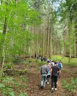 Gruppe Menschen im Wald Gruppe Menschen im Wald