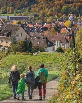 Wanderweg bei den Streuobstwiesen und der Kulturlandschaft Wanderweg bei den Streuobstwiesen und der Kulturlandschaft