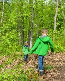Kinder im Wald