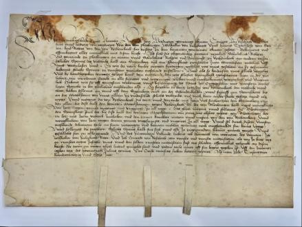 Foto: Michael Mikolajczak Foto einer Urkunde aus dem Jahr 1486.